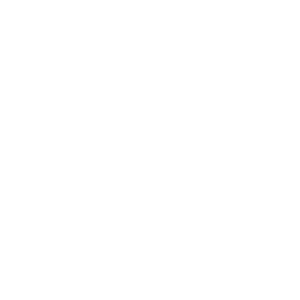     90 RUS ( ) -   187 .