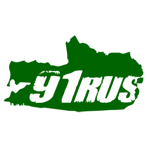  91 RUS ( )