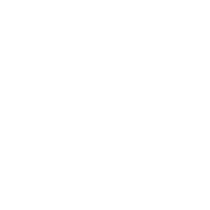   93 RUS ( ) -   187 .