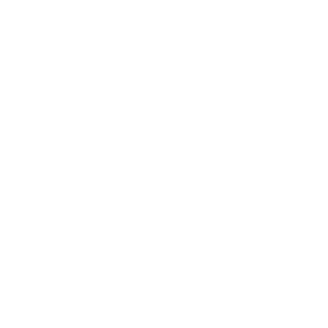  123 RUS ( )