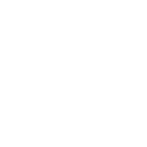  134 RUS ( )