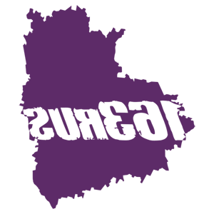 ����������� �� ����������� ���������� �������� �163 RUS (��������� �������)� - ������ �� 181 ���.