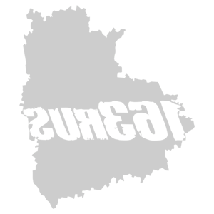 ����������� �� ����������� ���������� �������� �163 RUS (��������� �������)� - ������ �� 181 ���.