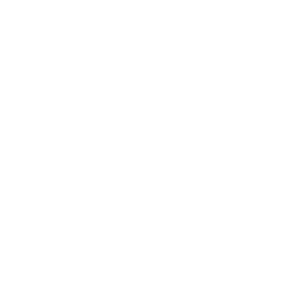      173 RUS ( ) -   187 .