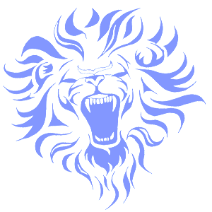     -   264 .