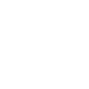      Lion-King ( ) -   170 .