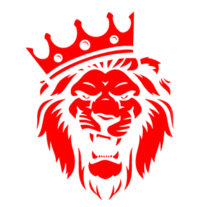  Lion-King ( )