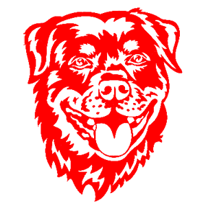    -   218 .