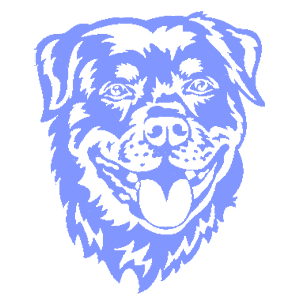    -   218 .