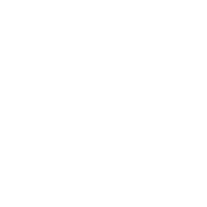  Lancer Evolution X