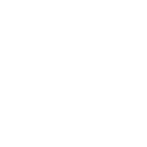      Lancer Evolution X -   161 .
