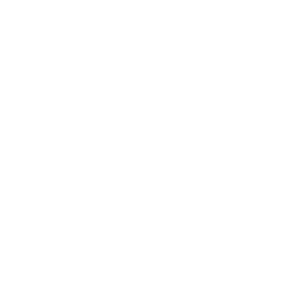      Mitsubishi Lancer X -   147 .