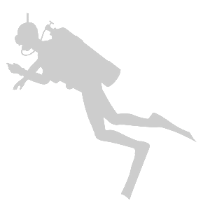 -   -   95 .
