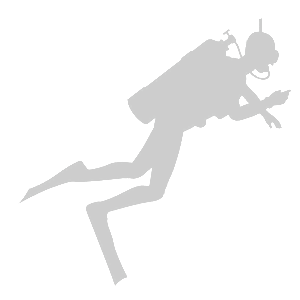       -   95 .