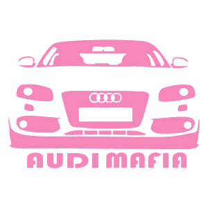  AUDI-mafia