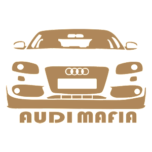  AUDI-mafia