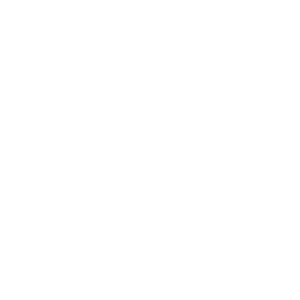      AUDI-mafia -   147 .
