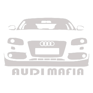  AUDI-mafia