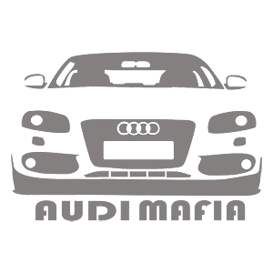  AUDI-mafia