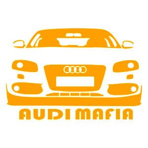 AUDI-mafia