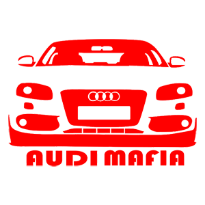  AUDI-mafia