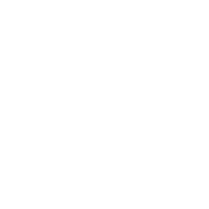      Vectra-Team -   84 .