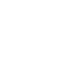      Opel club -   28 .