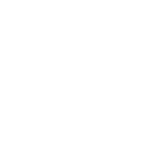         -   161 .
