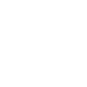        -   161 .