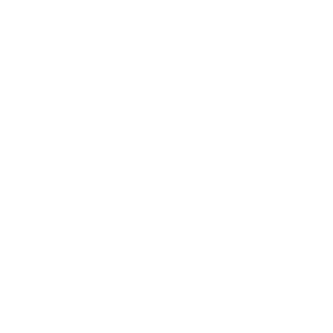      Suzuki Logo -   67 .