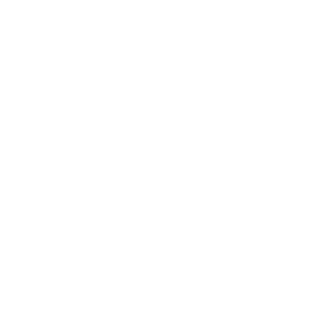         -   161 .