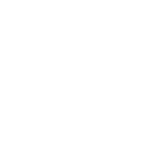  Lada sport (logo)