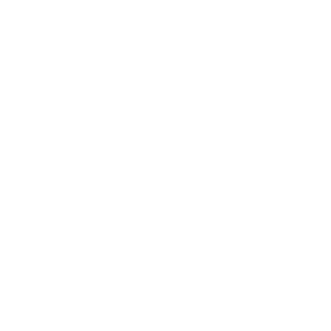      Lada sport (logo) -   133 .