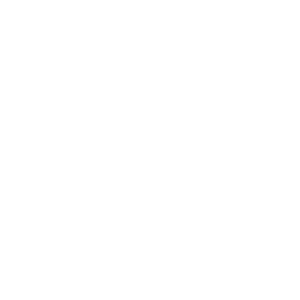       (chess) -   133 .