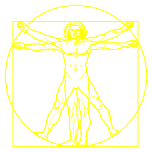        -   288 .
