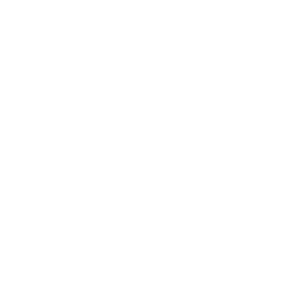         -   161 .