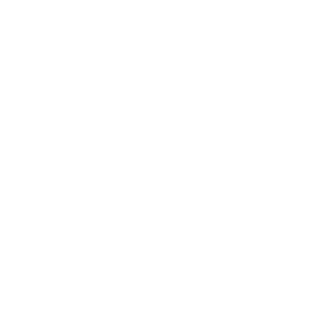       -    -   231 .