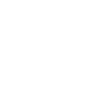         -   161 .