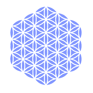         -   161 .