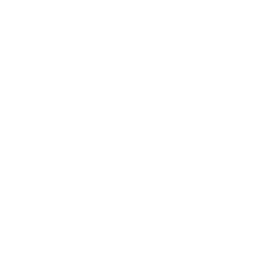        -   231 .