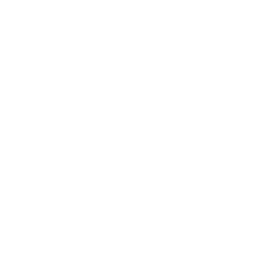     ! -   161 .