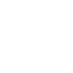        ! -   161 .