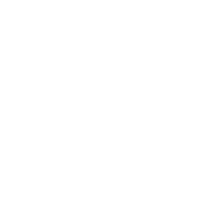  Angry Birds