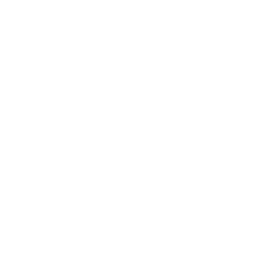       (peshkariki.ru) -   133 .