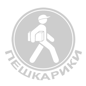    (peshkariki.ru) -   133 .