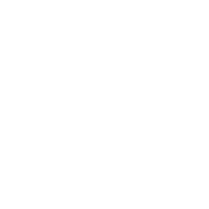        -   81 .