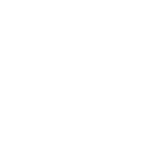    -   81 .