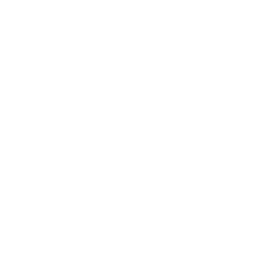  Dakar skeleton