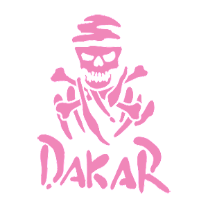  Dakar skeleton