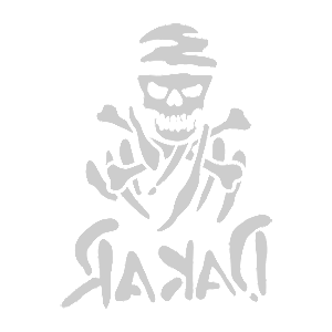    -  Dakar skeleton -   66 .